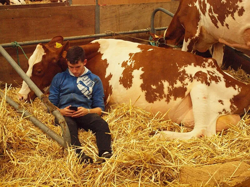Why Your Phone Says One Thing and Your Exchange Says Another
